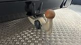 BMW X5 40d AUT xDrive M-paket - náhled 29