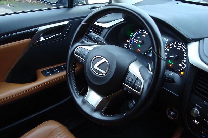 Lexus RX 450h (2021) ČR,1.Maj.S.kn.Najeto 62 tis.! - fotka 72 z 110