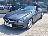 Mercedes-Benz SLK 250 CDI/150kW Cabrio - náhled 1