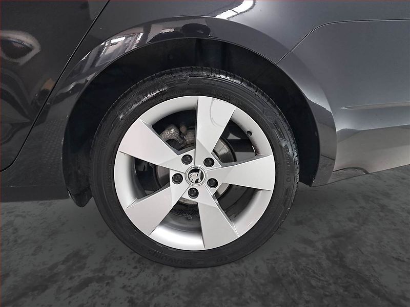 Škoda Octavia (2013) 1.6 TDI, Tempomat - fotka 14 z 18
