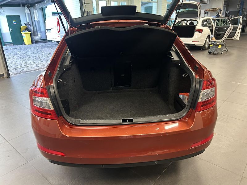 Škoda Octavia (2016) 2.0TDi L&K DSG Bi-X ACC Canton - fotka 31 z 34