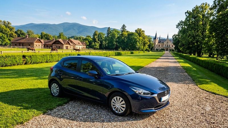 Mazda 2 1.5 66 kw servisní historie - fotka 40 z 50