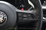 Alfa Romeo Stelvio 2.0T Q4 206KW TRIBUTO ITALIANO - náhled 29