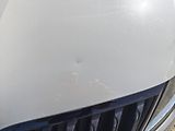Škoda Octavia (2019) RS 2.0 - náhled 17