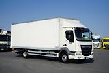 DAF LF (2019) 260 / ACC / EURO 6 / KONTENER  - náhled 1