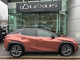 Lexus UX 300h (2025) 2.0   F Sport Design Bi- Tone - náhled 8