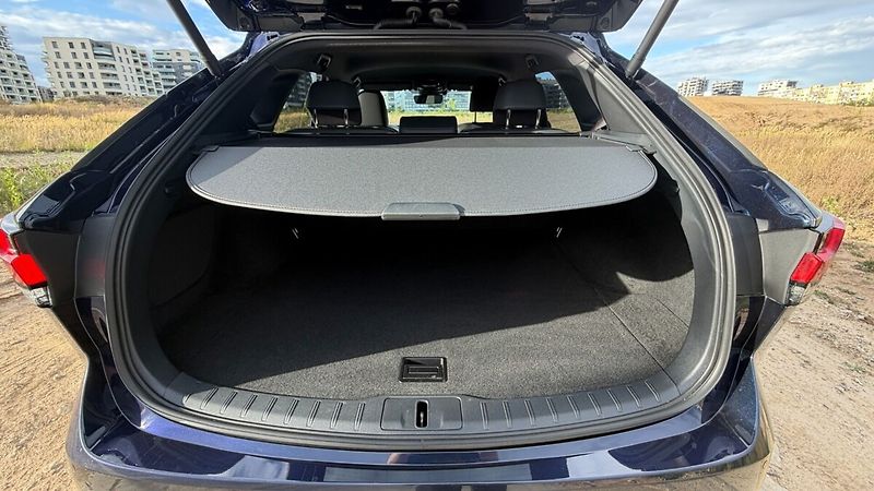 Lexus RX 350h 350H 2,5 HEV COMFORT TOP - fotka 26 z 27