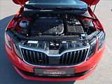 Škoda Octavia 1,6 TDi,85kW,1majČR,Serv.k,DPH - náhled 19