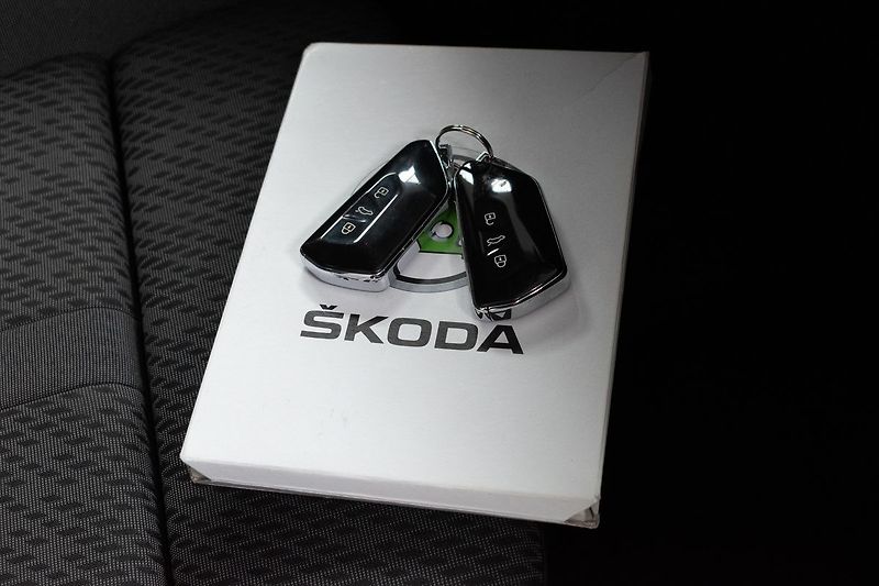 Škoda Octavia 2.0 TDI DSG*MASÁŽE*ACC*DPH* - fotka 30 z 38