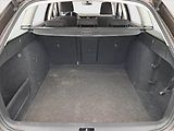 Škoda Octavia (2018) Ambition 1.6 TDI, Navi - náhled 14