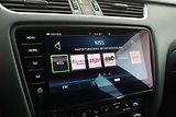 Škoda Octavia (2018) RS 2.0 TDI, Automat, Kůže - náhled 14