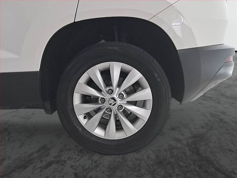 Škoda Karoq (2019) Ambition 2.0 TDI, Navi - fotka 15 z 19