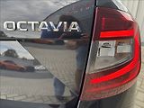 Škoda Octavia 2,0 TDI DSG STYLE DPH 1.maj ČR - náhled 16