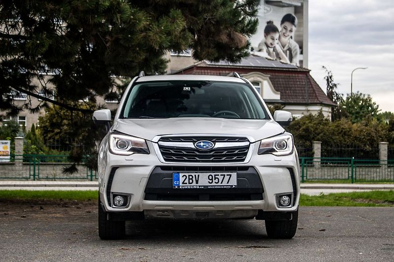 Subaru Forester - fotka 2 z 22