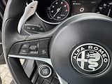 Alfa Romeo Stelvio 2,0 T 206kW Q4 AT8 ZF 4X4 - náhled 30