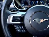 Ford Mustang 5,0 GT V8 330kW 55YearsEdition - náhled 19