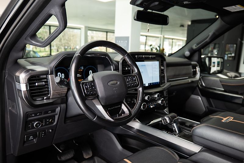 Ford F-150 Platinum - fotka 5 z 28