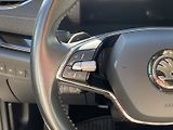 Škoda Octavia (2022) Combi 2.0 TDI 4x4 DSG Style + - náhled 19