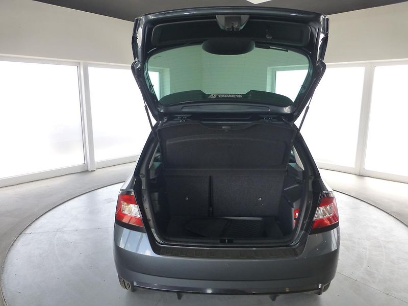 Škoda Fabia (2016) 1,2TSI-66KW*!!!!MONTE KARLO!! - fotka 20 z 27