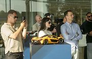 Replika McLarenu P1 v reálné velikosti se skládá z 342 817 dílků, váží přibližně 1220 kilogramů.