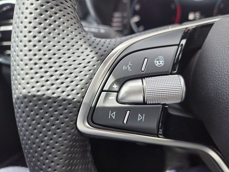 Škoda Fabia Dynamic 1,0TSI 85kW - fotka 12 z 15