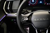 Škoda Kodiaq - náhled 17