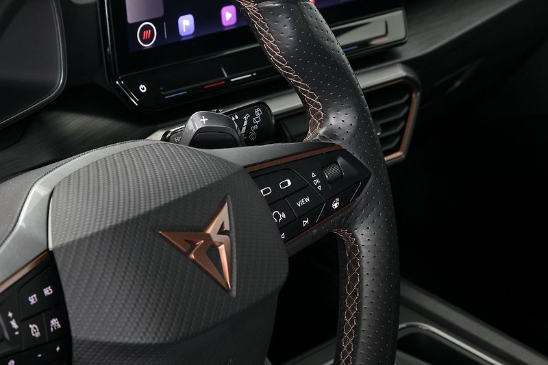 Cupra Formentor 2.0TDI 110kW DSG 4x4 Pano Tažn - fotka 16 z 36