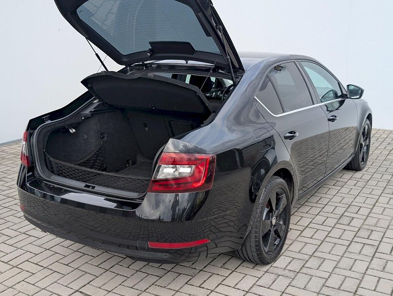 Škoda Octavia (2017) 2.0 TDI / 110 kW 4x4 Style Plu - fotka 12 z 30