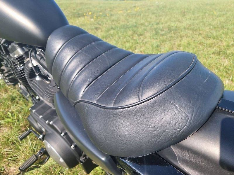 Harley-Davidson XL 883N Sportster Iron (2021) - fotka 15 z 17