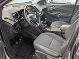 Ford Kuga (2018) 1.5EB, 1.maj,ČR, Xenon, navi - náhled 9