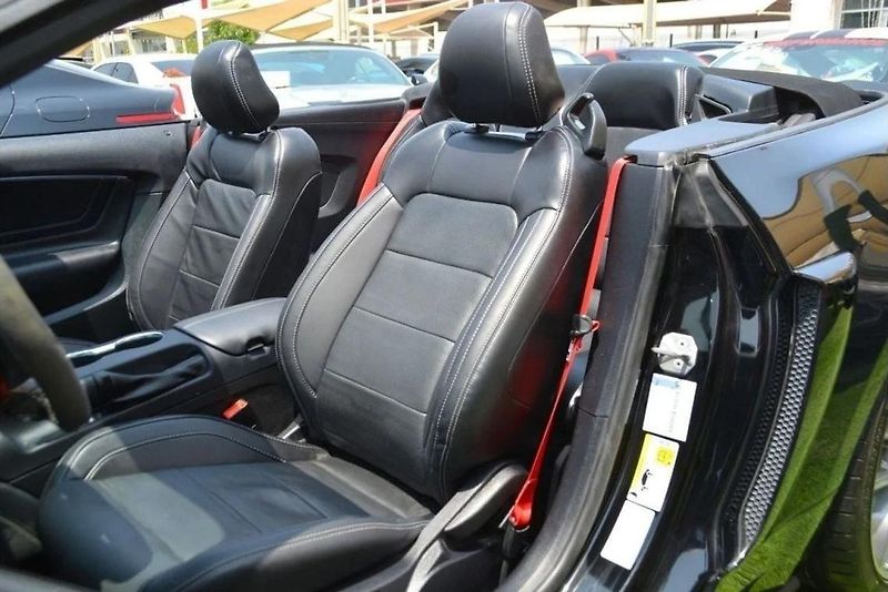 Ford Mustang (2019) 2.3 EcoBoost Convertible - fotka 12 z 23
