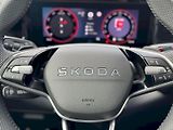 Škoda Kodiaq (2026) Sportline 4X4 2,0 TDI 142 kW D - náhled 10