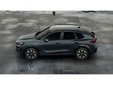 Cupra Terramar (2026) VZ - náhled 7