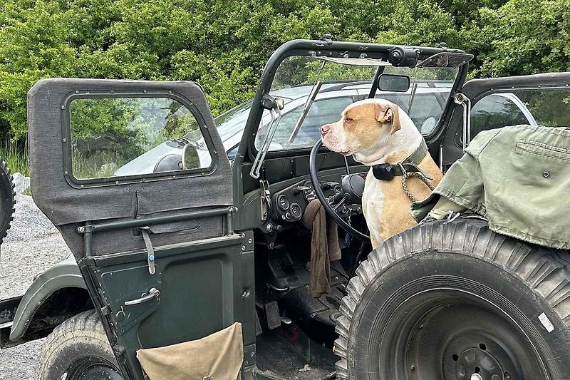 Veterány soutěžící o Zlomenou poloosu při své zastávce v Koutech.