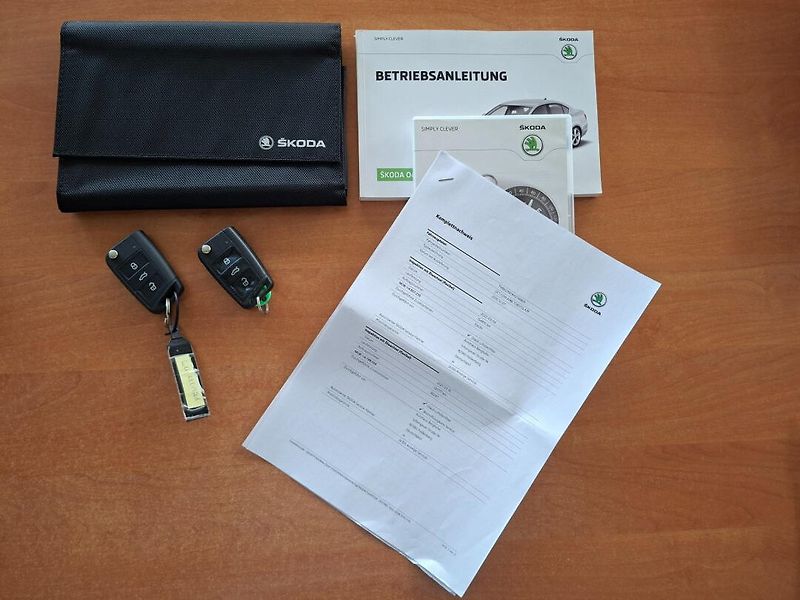 Škoda Octavia (2016) 1.6TDI 81kW DSG JOY - fotka 36 z 48