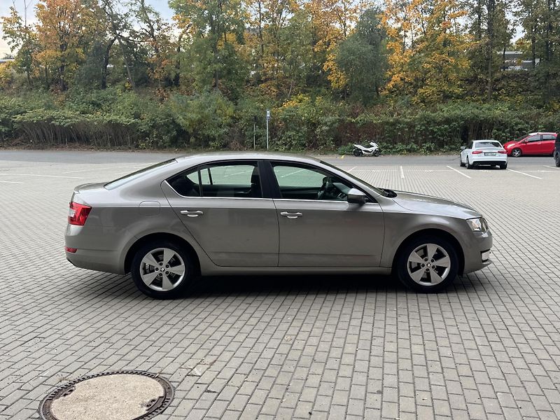 Škoda Octavia (2013) 1.8 TSI 132kw ČR - fotka 6 z 18
