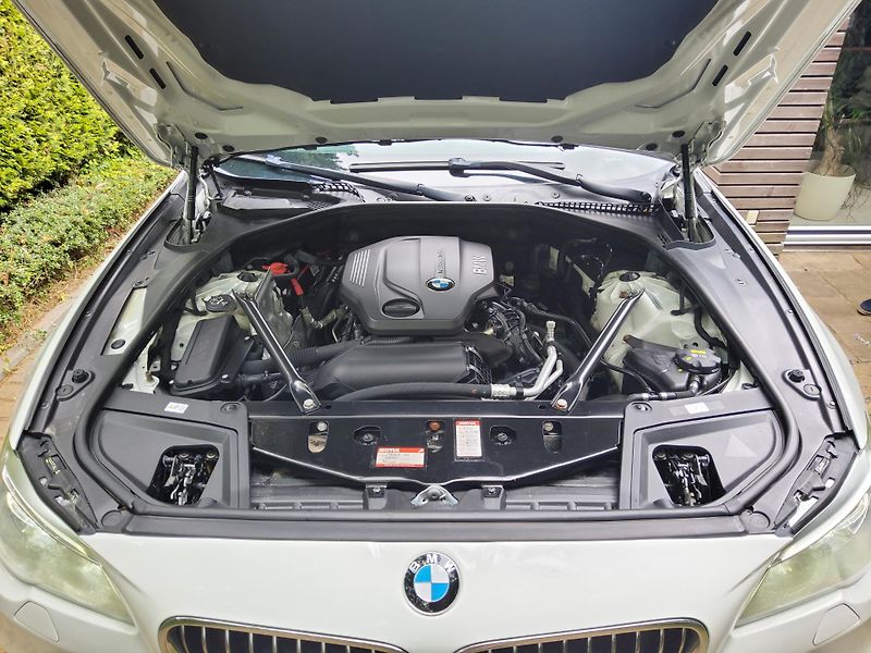 BMW Řada 5 (2016) 520d xDr.  ČR navi nez. topení - fotka 22 z 24