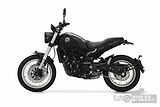 Benelli Leoncino 500 Trail (2026) 35kW - náhled 2