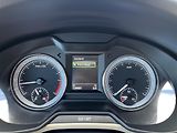 Škoda Octavia 2.0TDi 135kw 4x4 DSG ČR odpDPH - náhled 17