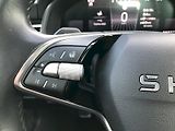 Škoda Kamiq (2025) SELEC TSI 85/1.0 A7F - náhled 19