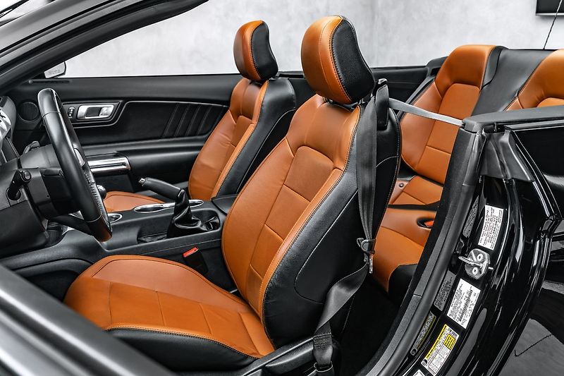 Ford Mustang OV,Ko 5,0 GT Kabrio, Manual - fotka 15 z 20
