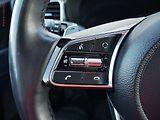 Kia XCeed (2021) 1.6 T-GDi, ČR, AT, LED, navi - náhled 12