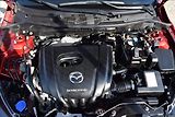 Mazda 2 1,5 i 66KW NÍZKÉ KM NOVÁ STK - náhled 49