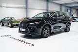 Lexus NX 350h (2023) Hybrid 2.5 E-CVT Comfort Top - náhled 1