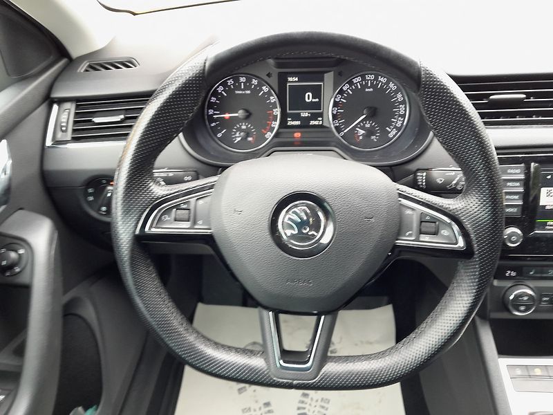 Škoda Octavia 2.0 TDI 4x4 110 kW - fotka 15 z 24