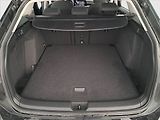 Volkswagen Golf (2022) 1.5 TSI - náhled 14