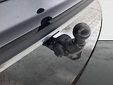 Škoda Karoq (2023) Sportline 2.0 TDI - náhled 21