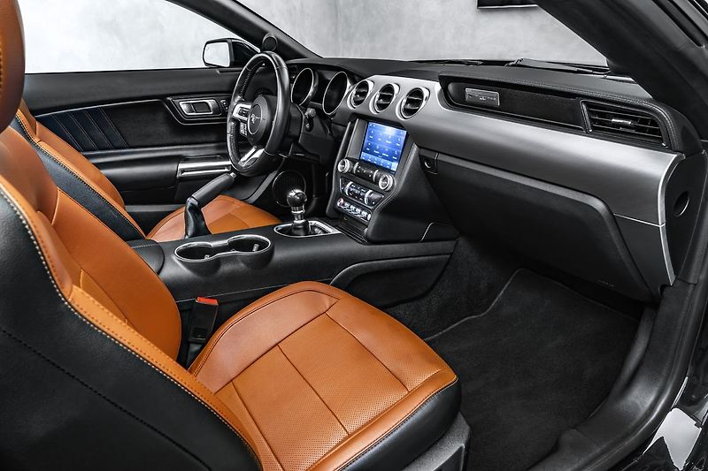 Ford Mustang OV,Ko 5,0 GT Kabrio, Manual - fotka 14 z 20