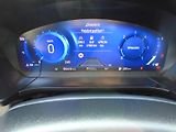 Ford Kuga 2,0EcoBlue 140kW AWD Vignale A - náhled 30