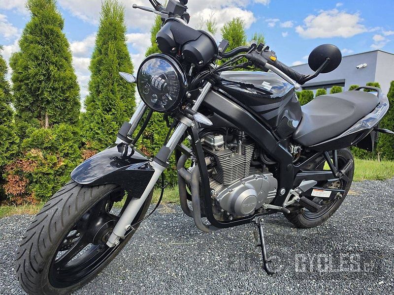 Suzuki GS 500 (2004) - fotka 10 z 15